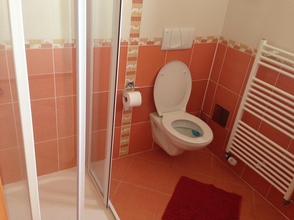 Apartmany Nowy Frymburk Rum bild